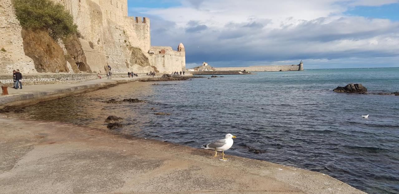 Studio Centre Plage Parking Gratuit كولِيورْ المظهر الخارجي الصورة